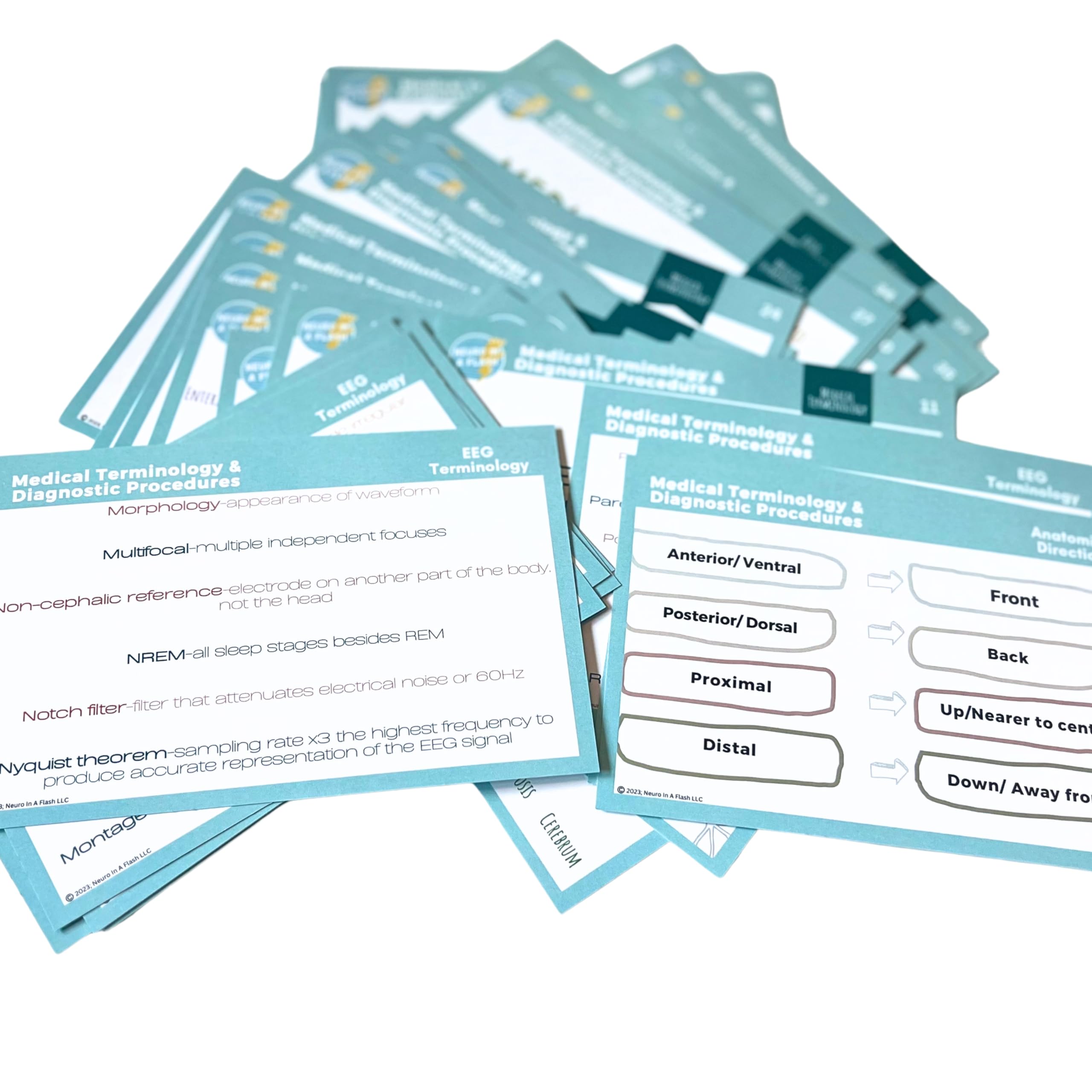Medical Terminology EEG Flashcard Deck | END Study Guide | EEG School Supplies | Neurophysiology Education Resources | ICU Neurology Critical Care Terms EEG Pattern Definitions Anatomical Direction - Image 5