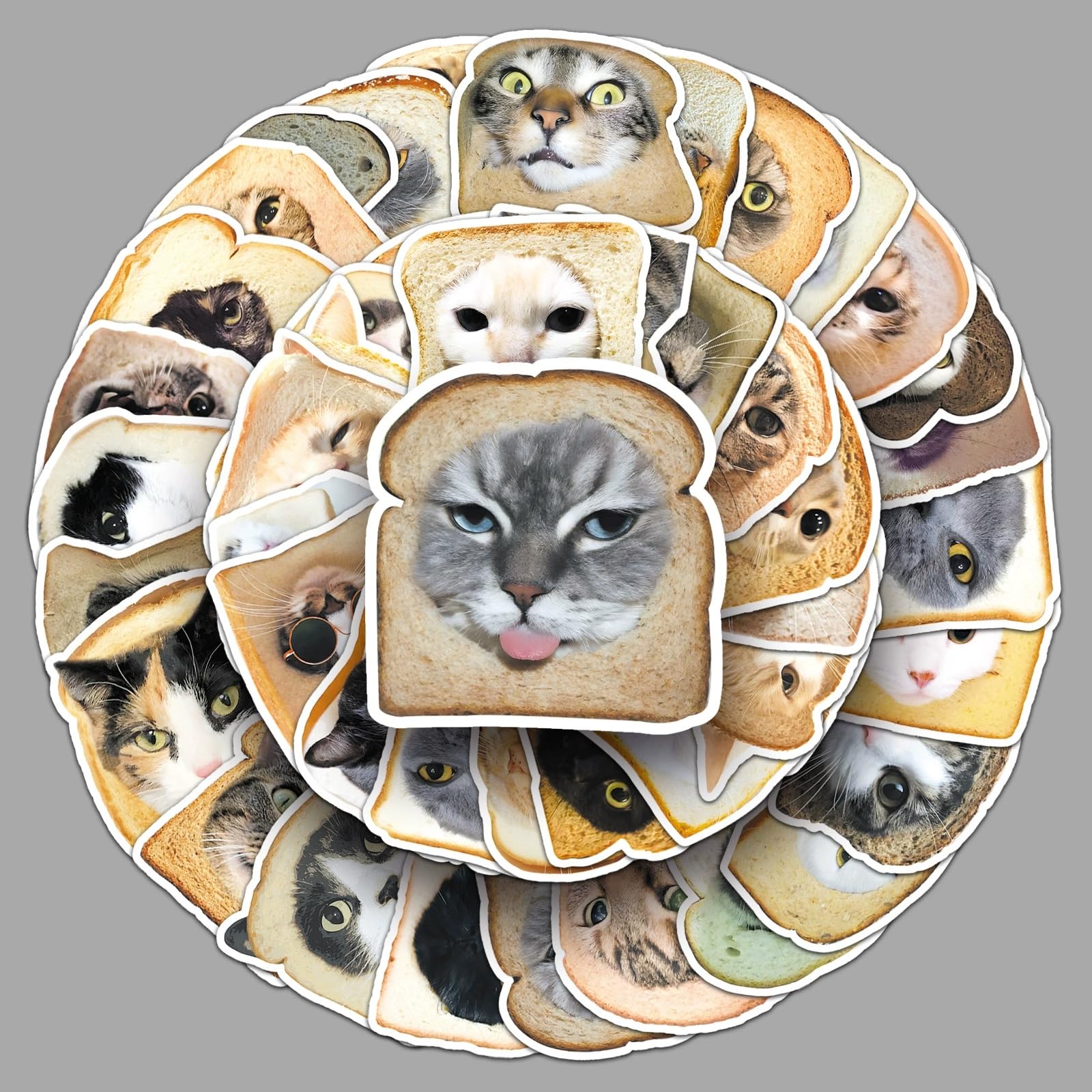 50 Pcs Cat Bread Stickers for Kids Teens Adults Boys Girls Gift Bread Decals Pack for Laptop,Skateboard,Luggage,Car,Bike,Cup,Computer,Water Bottle Decor,Vinyl Waterproof Stickers