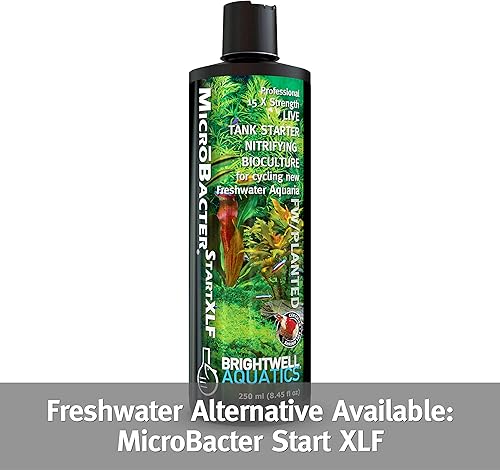 Miniatura 6 de Brightwell Aquatics MicroBacter Start XLM - El iniciador de tanque de bacterias vivas establece rápidamente la filtración biológica en nuevos