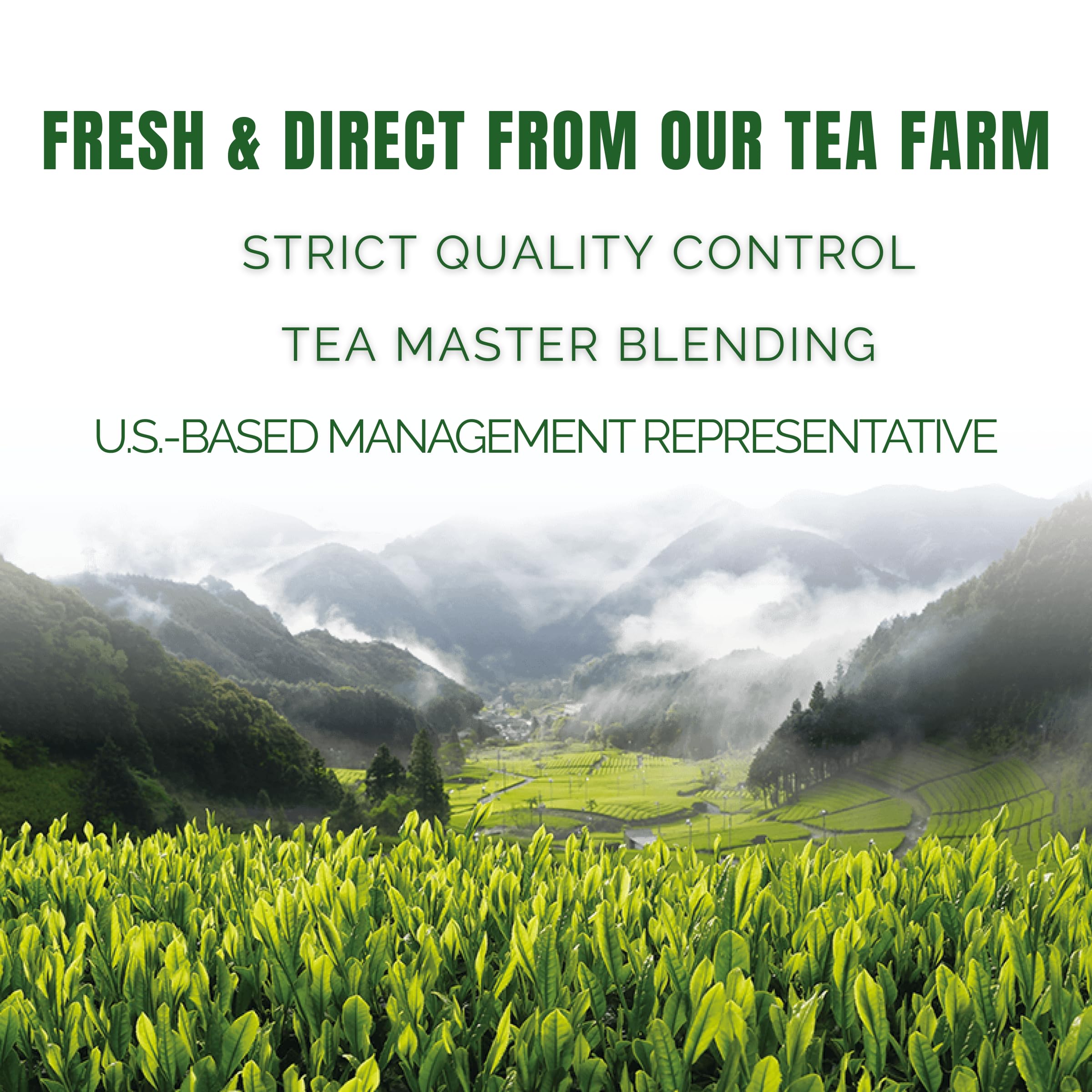 Satoen Authentic Japanese Ceremonial Grade Matcha Powder - Ceremonial Matcha Green Tea Powder from 100 Spring Premium First — view 6