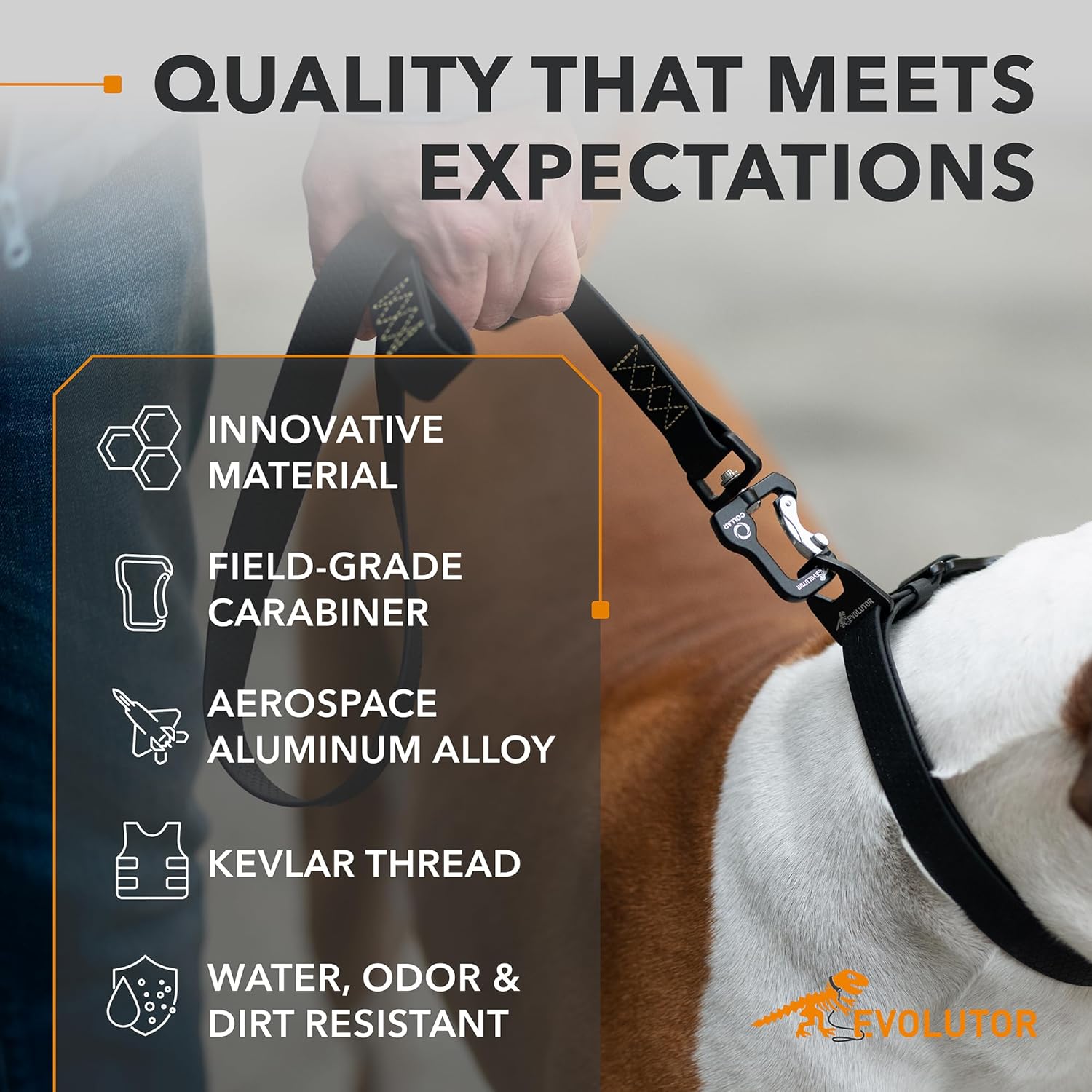 COLLAR Evolutor Extra Heavy Duty Dog Leash 4 Ft - Durable for Large, Medium and Small Dogs - Strong for Large Breeds - Walking (Black)