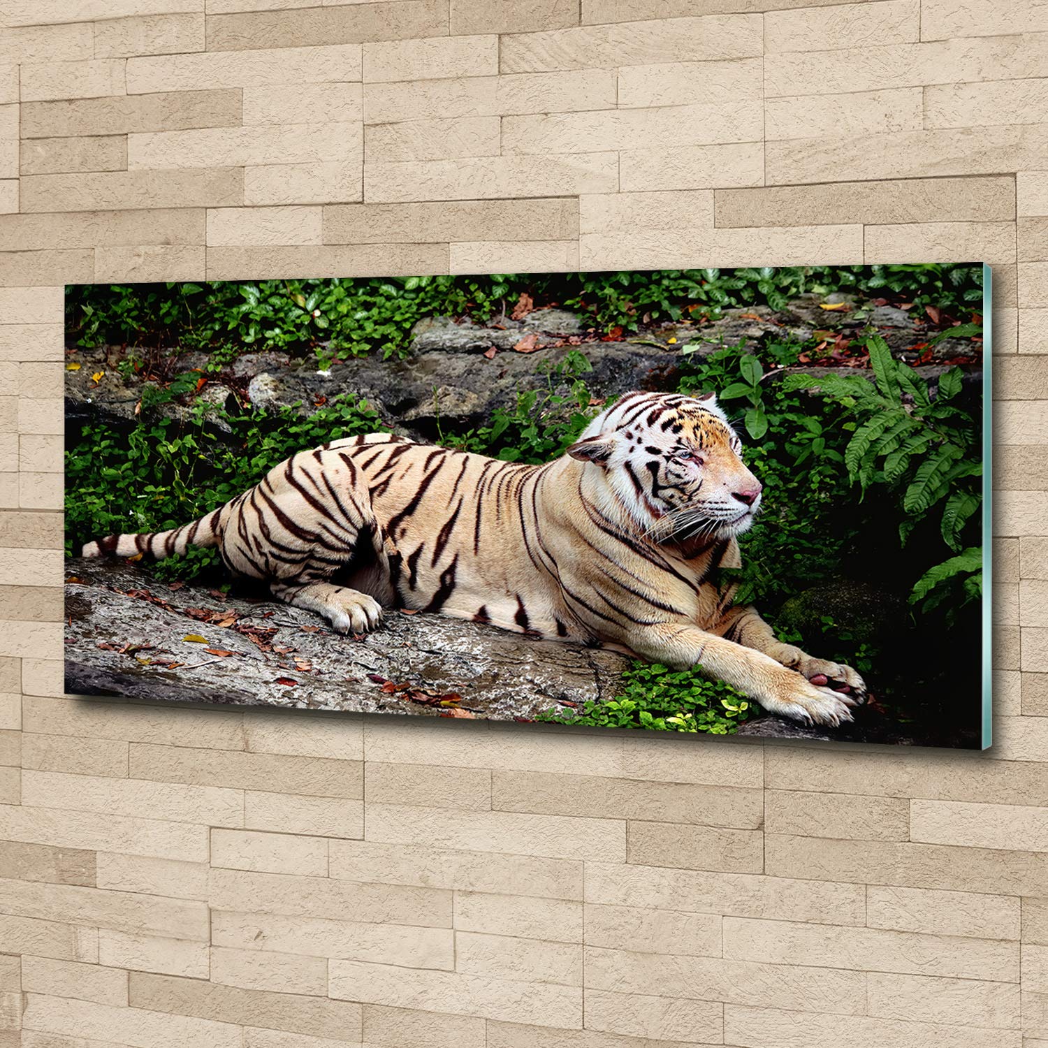 Tulup Impression sur Verre 125x50 cm Image Tableau Photo décorative panoramique pour la Cuisine et Le Salon - Animaux - Tigre sur Le Rocher - Beige