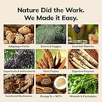 Vista 5 de Ka’Chava Batido Nutricional Todo en Uno, Sabor Fresa, 15 Porciones, Más de 85 Superalimentos y Nutrientes, Bebida de Proteína en Polvo a Base