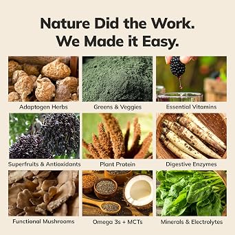 KaChava Whole Body Meal Shake Chai 2 lb Vegan Protein Powder with 85+ Superfoods & Greens Plant-Based Meal Replacement with Probiotics & Digestive Enzymes Gluten & Dairy Free (15 Servings)