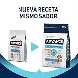Ver la foto 2