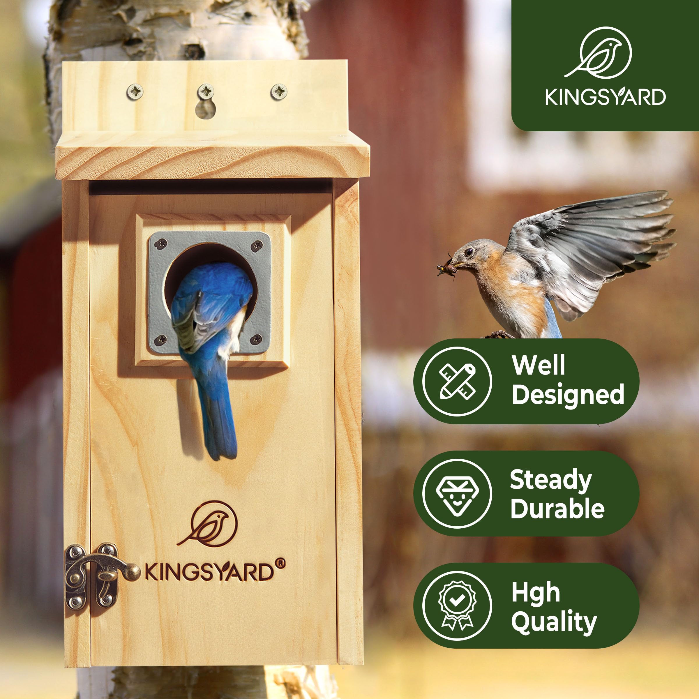 Kingsyard Blaues Vogelhaus für draußen - Klassisches Holz-Vogelhaus mit Raubtierschutz für Blaukehlchen, Haubenmeisen, Meisen und nistende Vögel, Holz