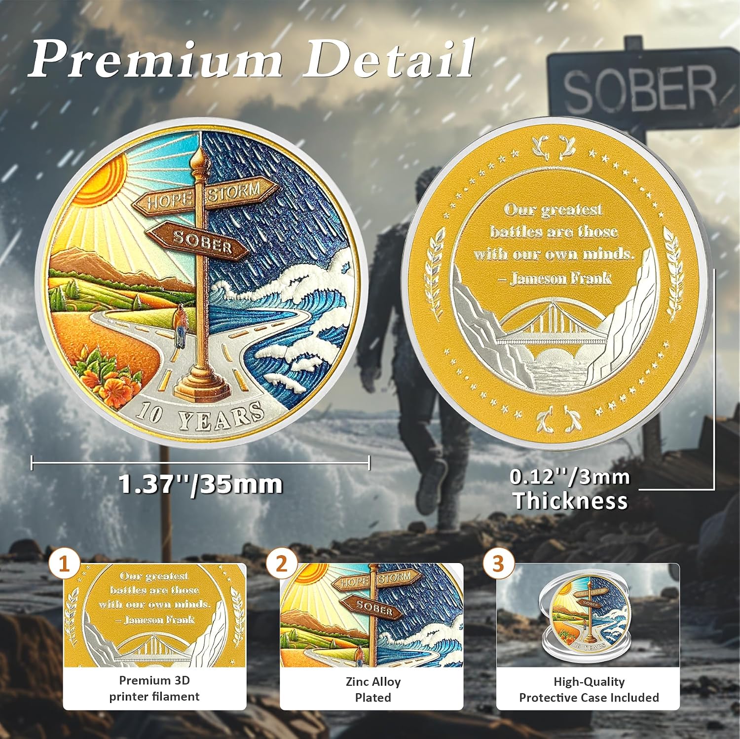 Hope Signpost 10 Year Sobriety Coin - Reborn from Storm AA Coins - Ten Year AA Chips and Medallions - 1-10 Years NA AA Celebrate Recovery Addicts - Narcotics Alcoholics Anonymous Gifts for Men Women