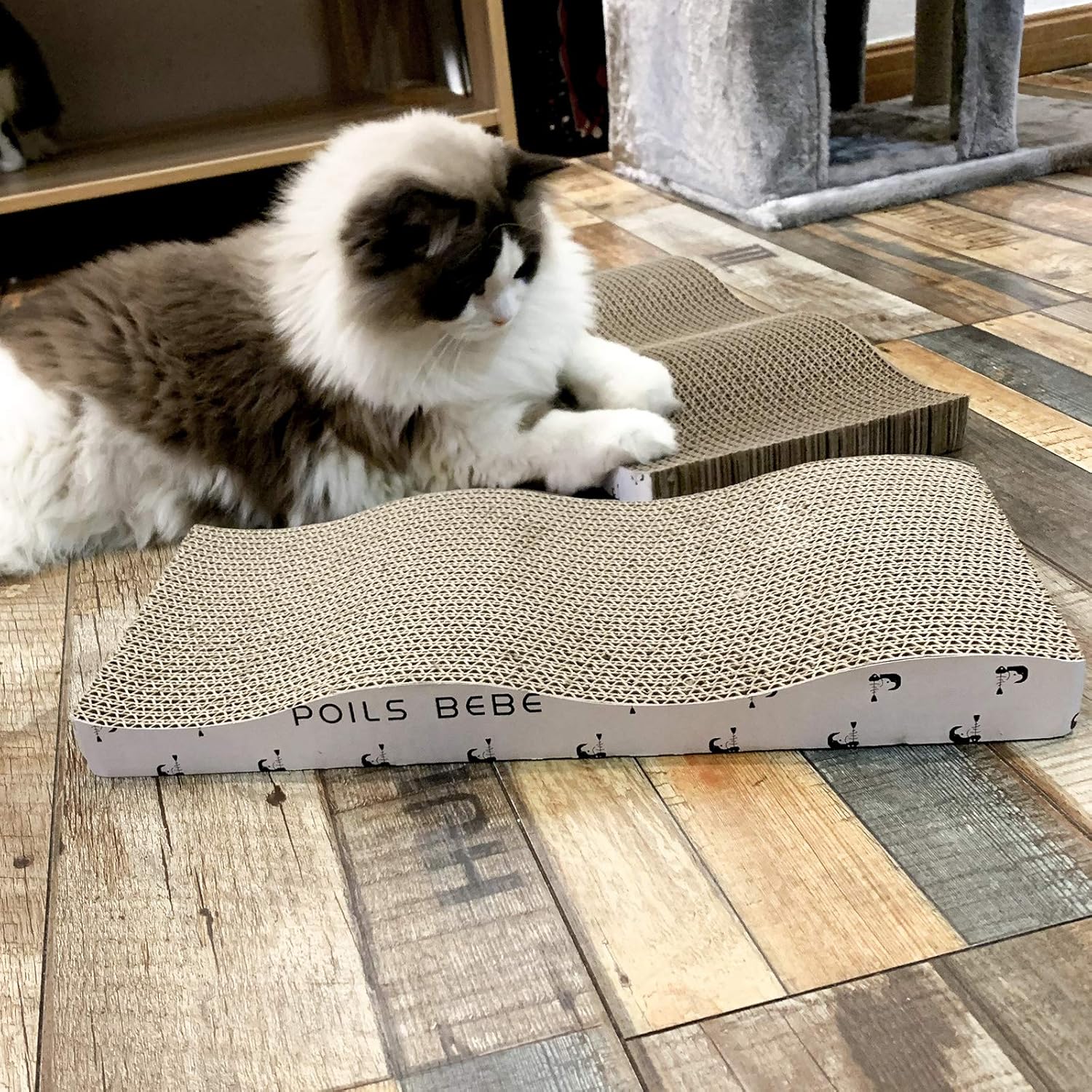 Poils bebe Cat Scratching Pad, Cardboard Reversible Cat Scratcher Large Wide Corrugated Modern Sofa Bed with Catnip (Pack of 2) : Pet Supplies