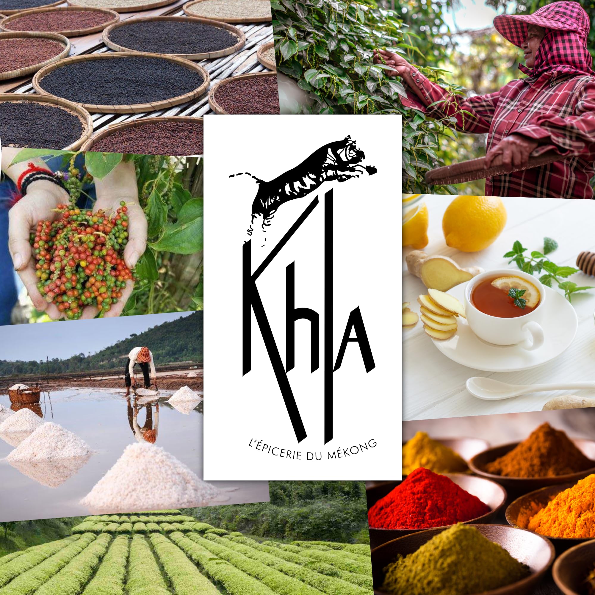 Khla - Grüner Kampot Pfeffer 500g - Frische Ganz Pfefferkörner - Bio-Zertifiziert - Aromatisch & Kräuterig - Direkt vom Erzeuger - Premium Grün Pfeffer - Snack, Saucen - Herkunft Kambodscha