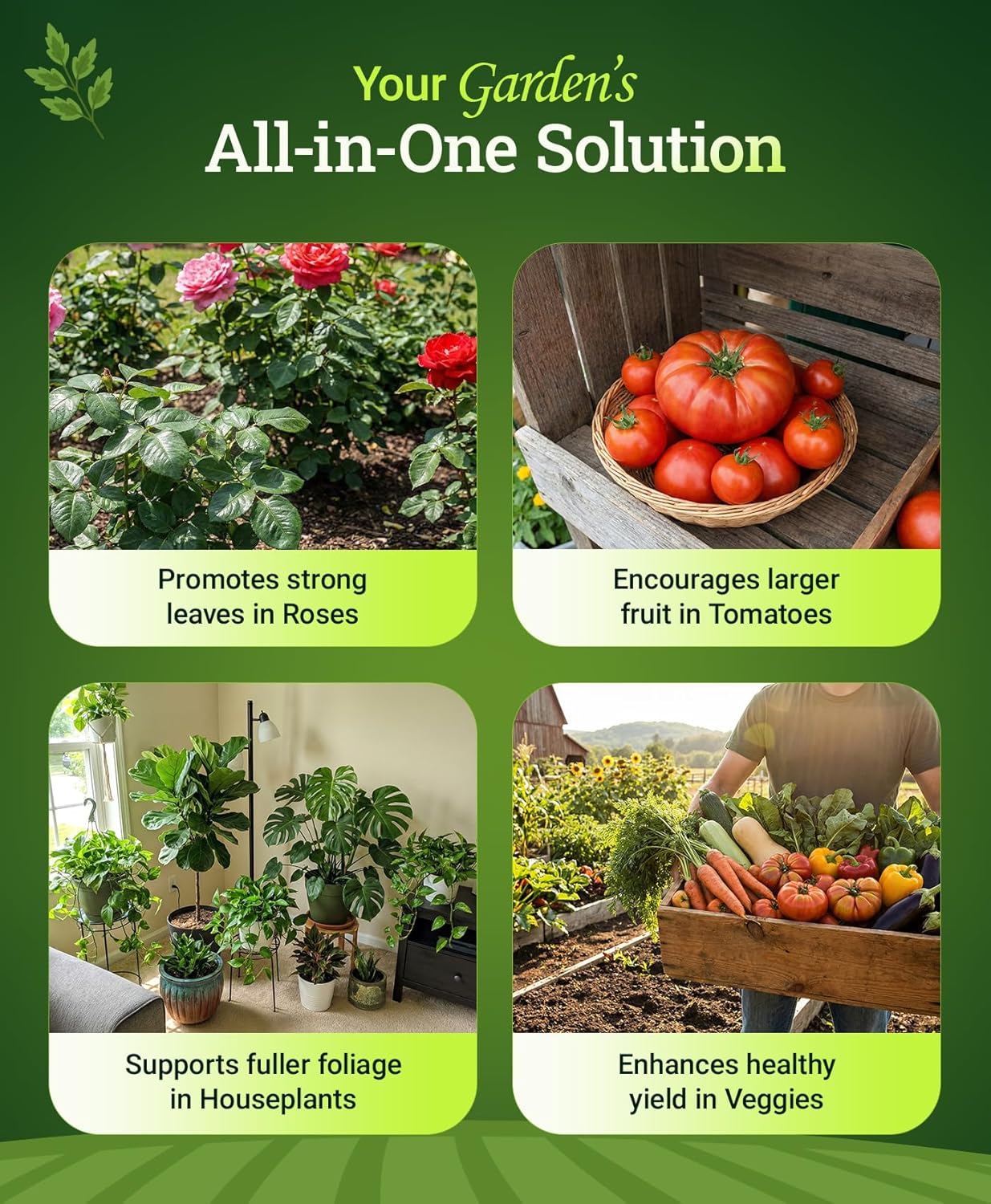 FoxFarm Grow Big Liquid Plant Food - Bloom Fertilizer for Flowers, Fruits, and Vegetables, Perfect for Indoor & Outdoor Potted Plants, NPK 6-4-4 (Quart) - Image 4