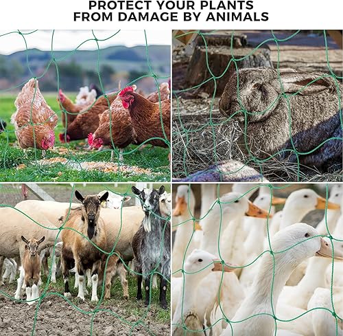 Miniatura 6 de Kikhope Red de enrejado para plantas trepadoras, 2 paquetes de 5.9 x 16.4 pies, red de enrejado de jardín resistente para pepino, vid, tomate,