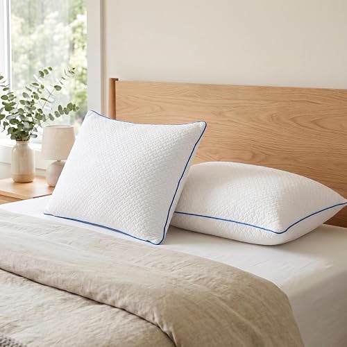 Furniture of America Evarn Memory Foam Standard Size Bed Pillows Set of 2 with Removable Cover and Eco-Friendly Packaging, Comfy Pillows for Side, Back and Stomach Sleepers, Oeko TEX Certified, White