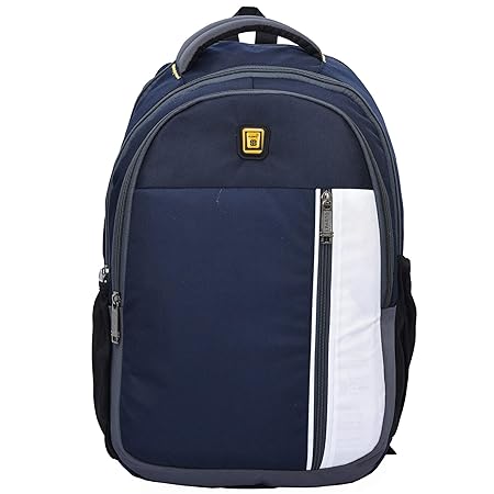 Blowzy Bags Nylon Polyester Waterproof, College School Bag with Laptop Compartment (Blue)