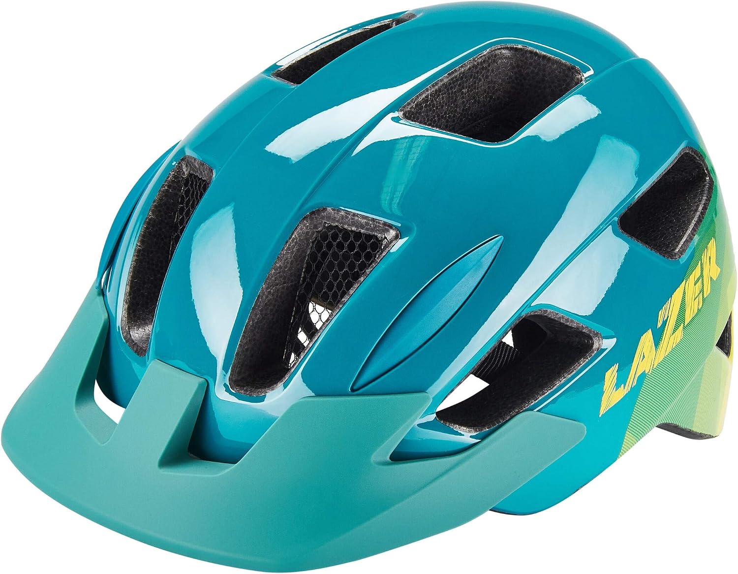 Bicycle Helmet with Insect Protection 