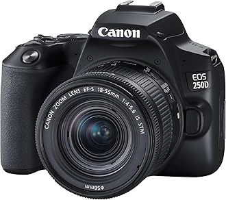 Canon EOS 250D + Canon EF-s 18-55mm f/4-5.6 IS STM Lens - Black