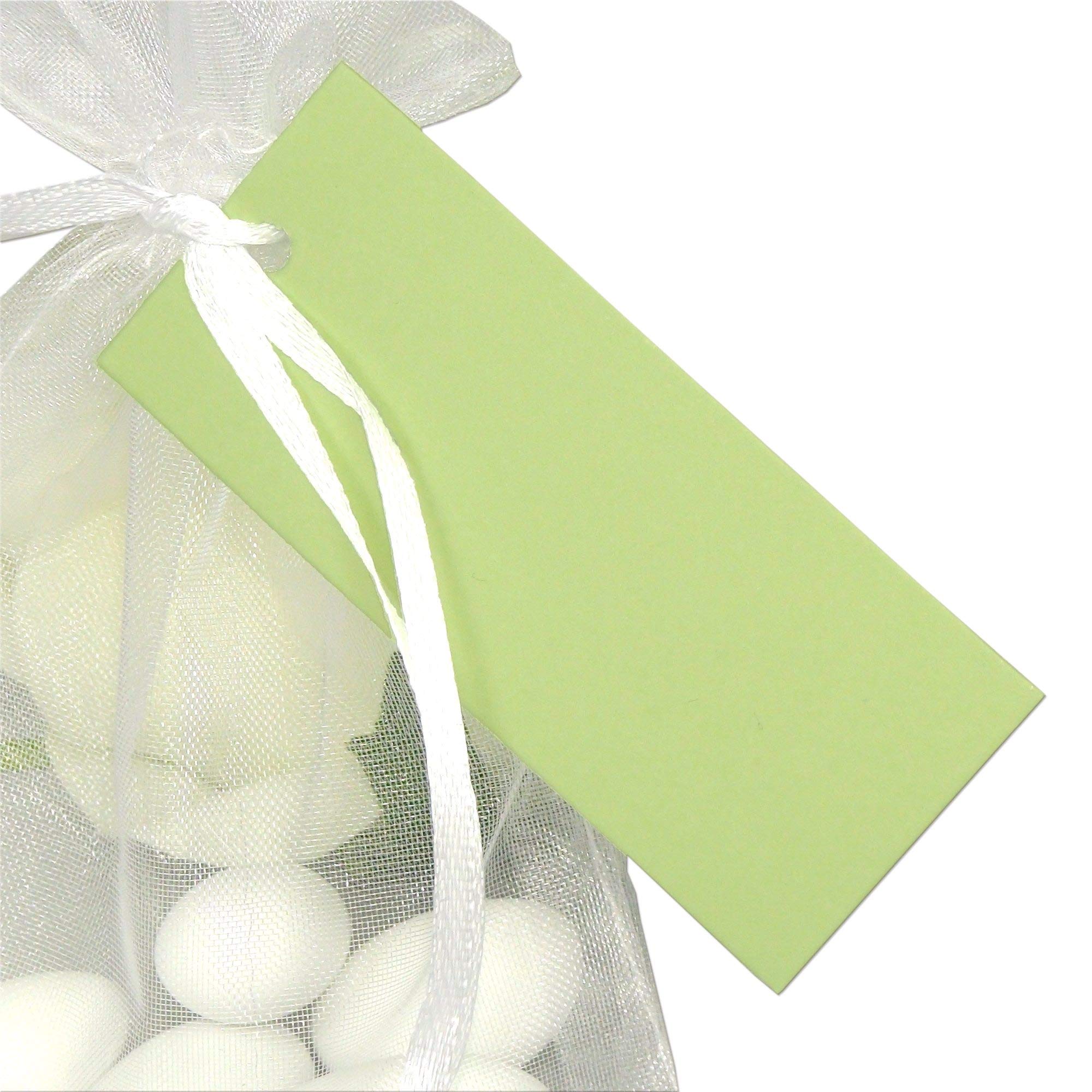 EinsSein 50 Etichette Regalo Perforate Verde Chiaro – 7x3,1 Cm, Cartoncino Vintage Per Bomboniere, Matrimoni, Battesimi