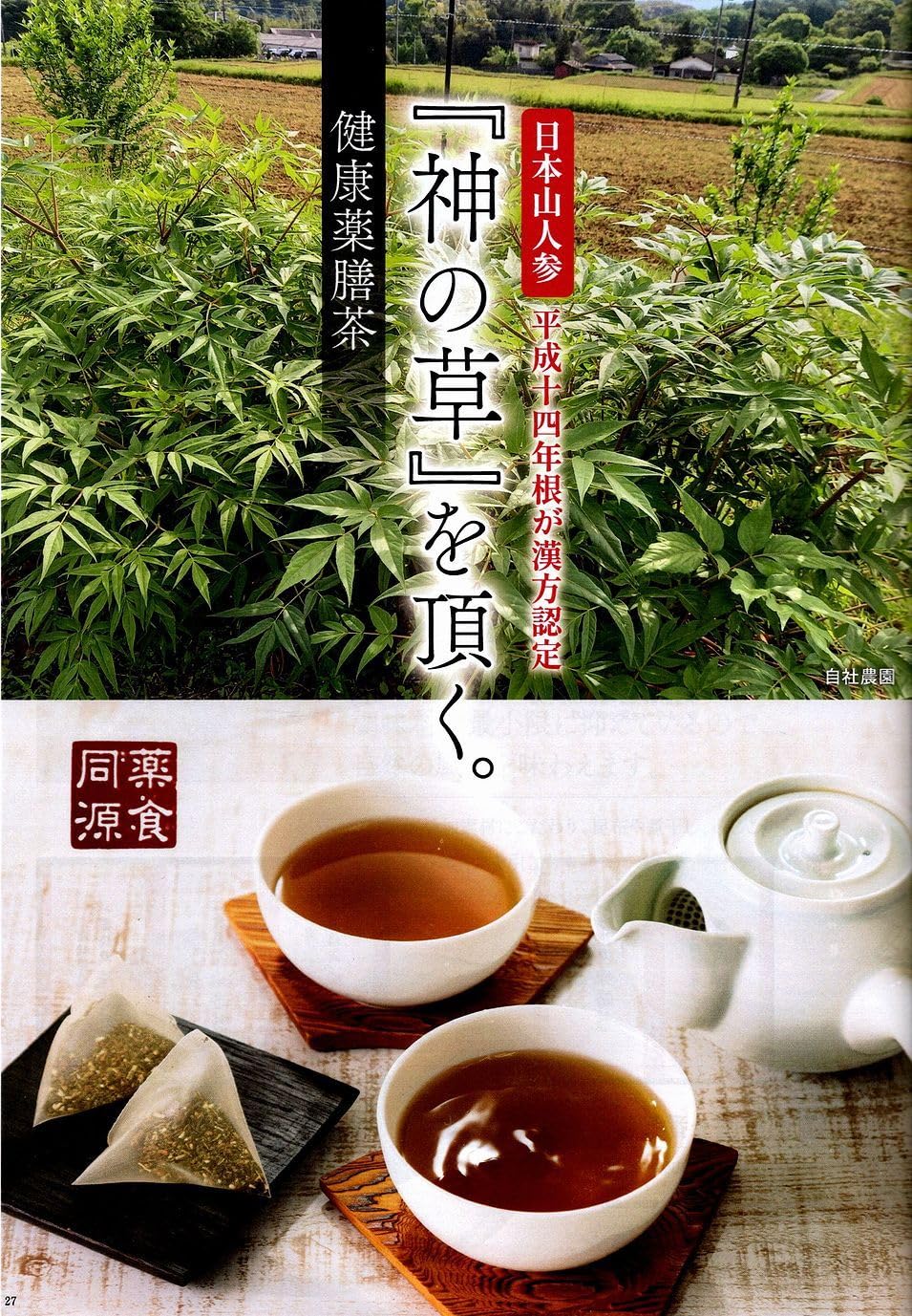 Amazon.co.jp: 【神の草】 日本山人参茶 日向当帰 ヒュウガトウキ 2.5g