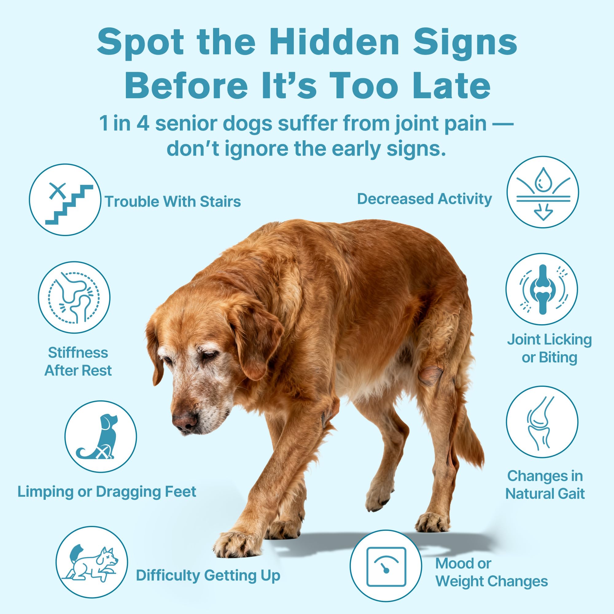 Hip & Joint Senior Dog Supplement–Advanced Glucosamine Chondroitin for Dogs with MSM, Green Lipped Mussel,and Omega-3 – Supports Mobility and Reduces Joint Pain for Senior Dogs(120ct Chewable Tablets) - image 4