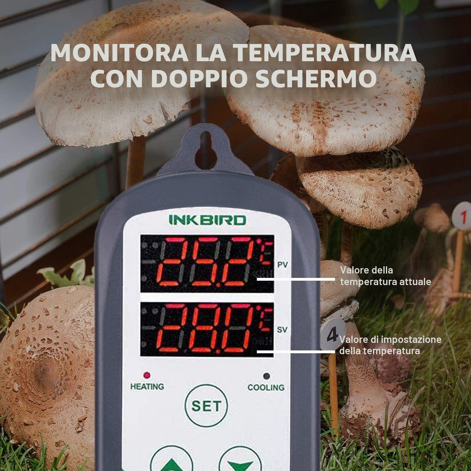 Inkbird ITC-308 220V Digitale Termoregolatore Regolatore di Temperatura Termostato Controllo con Riscaldamento e Raffreddamento per Homebrew, Allevamento, Serra