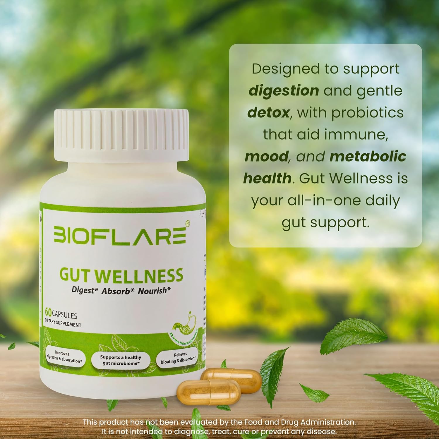 Gut Wellness, Women’s Probiotics & Mens Probiotics for Gut Health, High Potency Probiotic and Prebiotic for Women & Men with Digestive Enzymes, 10 Billion CFU per 200MG, 60 Vegan Capsules - Image 7