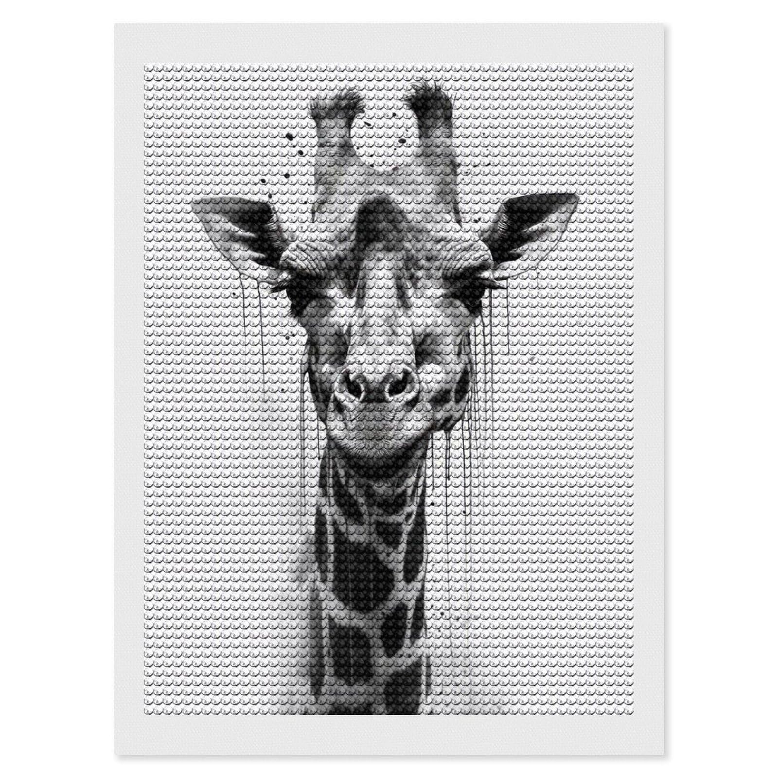 Junmoney Giraffe Beauty Watercolor Diamond Art Canvas 12"x16", Easy to Follow Symbols, Finish and Display, Fun Craft Experience, Aesthetic Room Decor