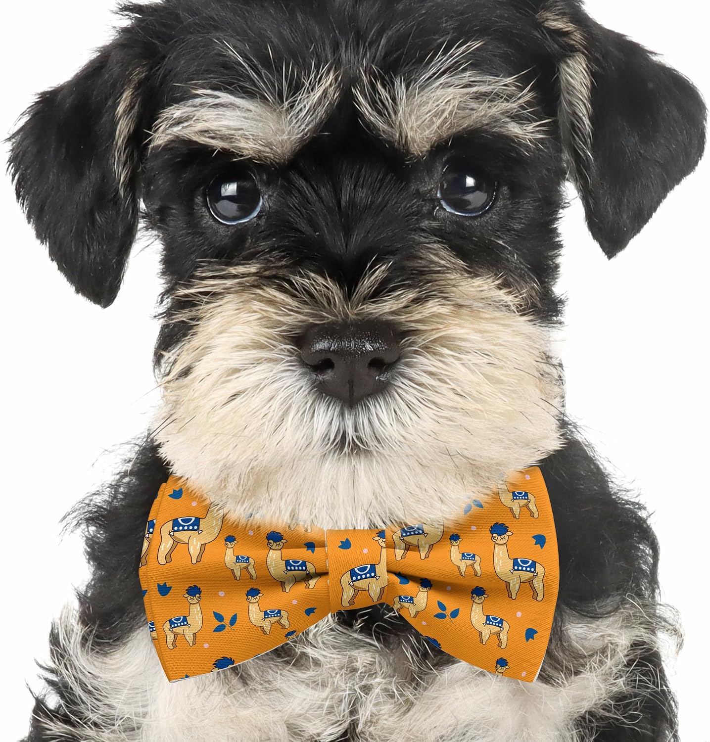 Pre-Tied Bow-Tie (Alpaca Cartoon Character Llama Pattern) Adjustable Bowties for Kid, Toddler, Adult, Dog, Cat, Pet