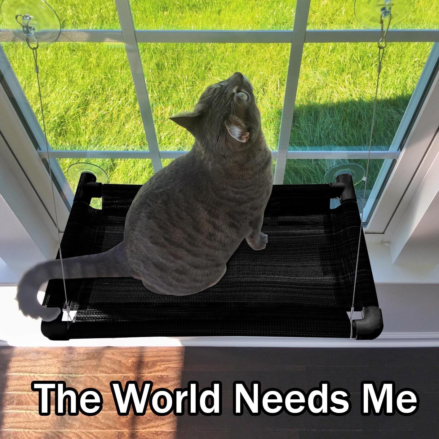 Cat Window Perch - Sturdy Cat Window Hammock w/Strong Suction Cup & Stainless Cable Hold Up to 50lbs Window Mounted Cat Bed & Cat Sunny…