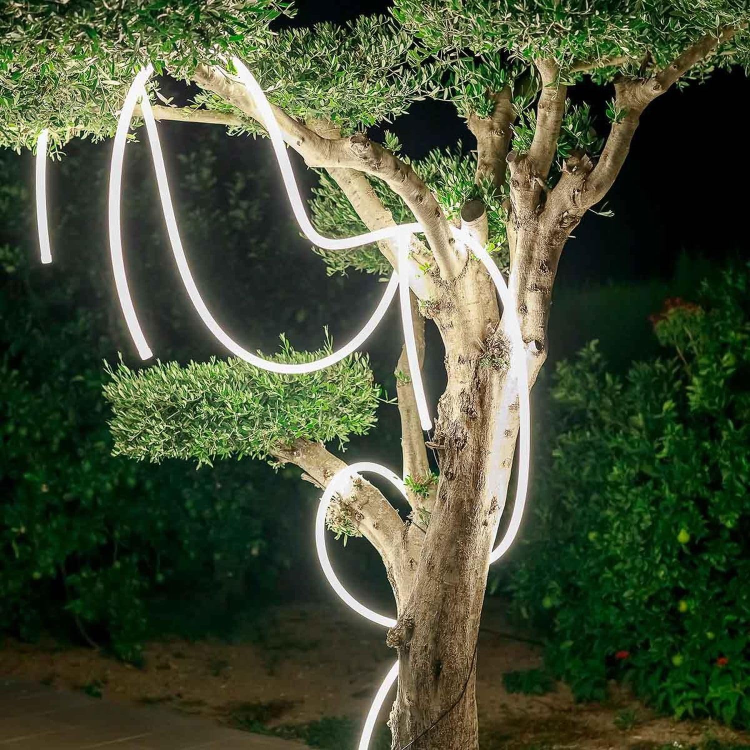 Licht-Erlebnisse LED Lichtschlauch außen 3m lang + 4m Kabel Stecker IP65 3000 K lm warmweiß Modern Gartenbeleuchtung Außenlampe Balkon Garten Terrasse