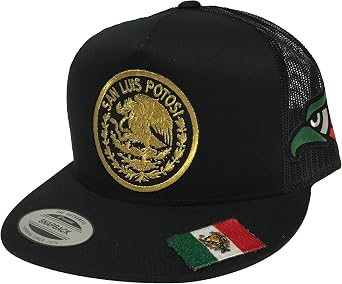 San Luis Potosi Vandera en la visera Logo Federal 3 Logos hat Mesh Black