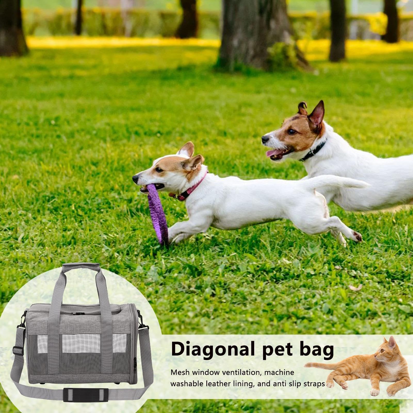 Transportín para perros, portátil con asa y – para cachorros y perros pequeños – Para cachorros y gatos de talla pequeña mediana casa viaje coche camping picnic paseo