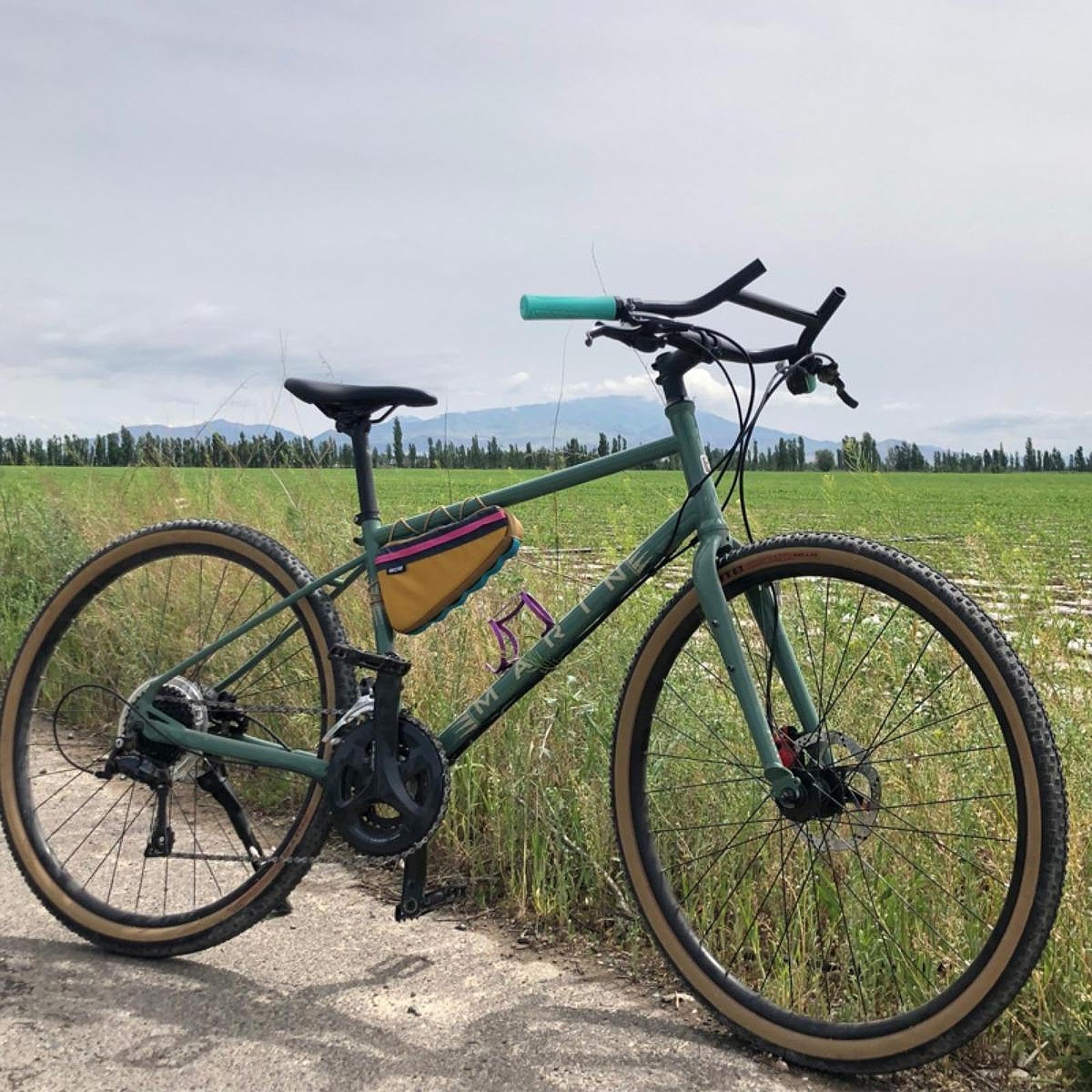 Guidon VTT en Alliage d'aluminium qualité supérieure, Robuste et Professionnel, Accessoire Remplacement pour vélo.