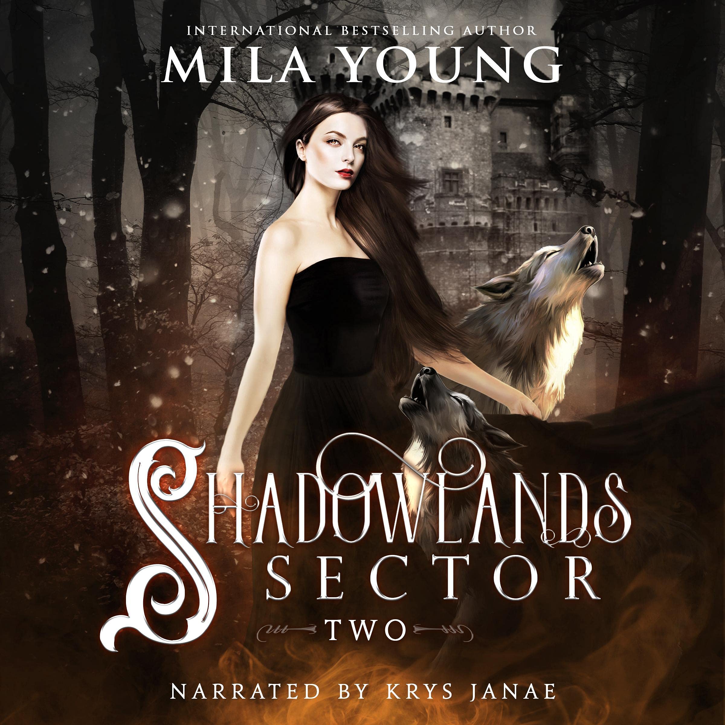Cover art for Shadowlands Sector, Two