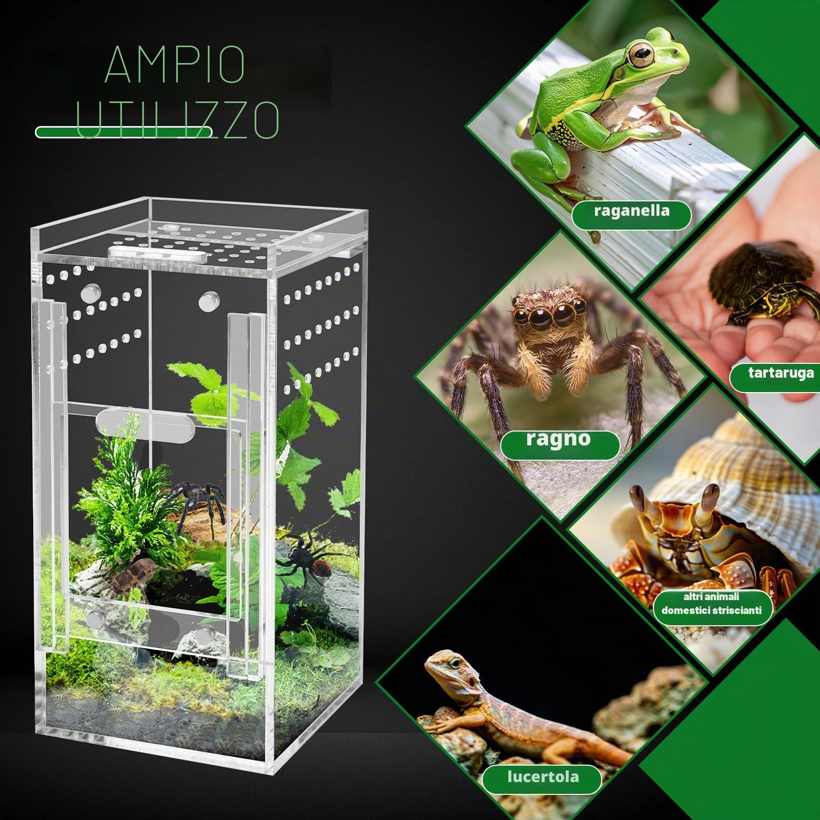 Windspeed - Recinzione per ragni che saltano, in acrilico, per micro habitat, per arboree, tarantole, lucertole, gechi, ragni che saltano, scatola acrilica per terrari
