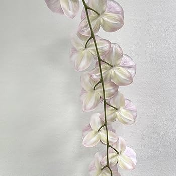 Amazon｜CINGHI LUSSO 巨大な胡蝶蘭の花 巨大な造花 フェイク