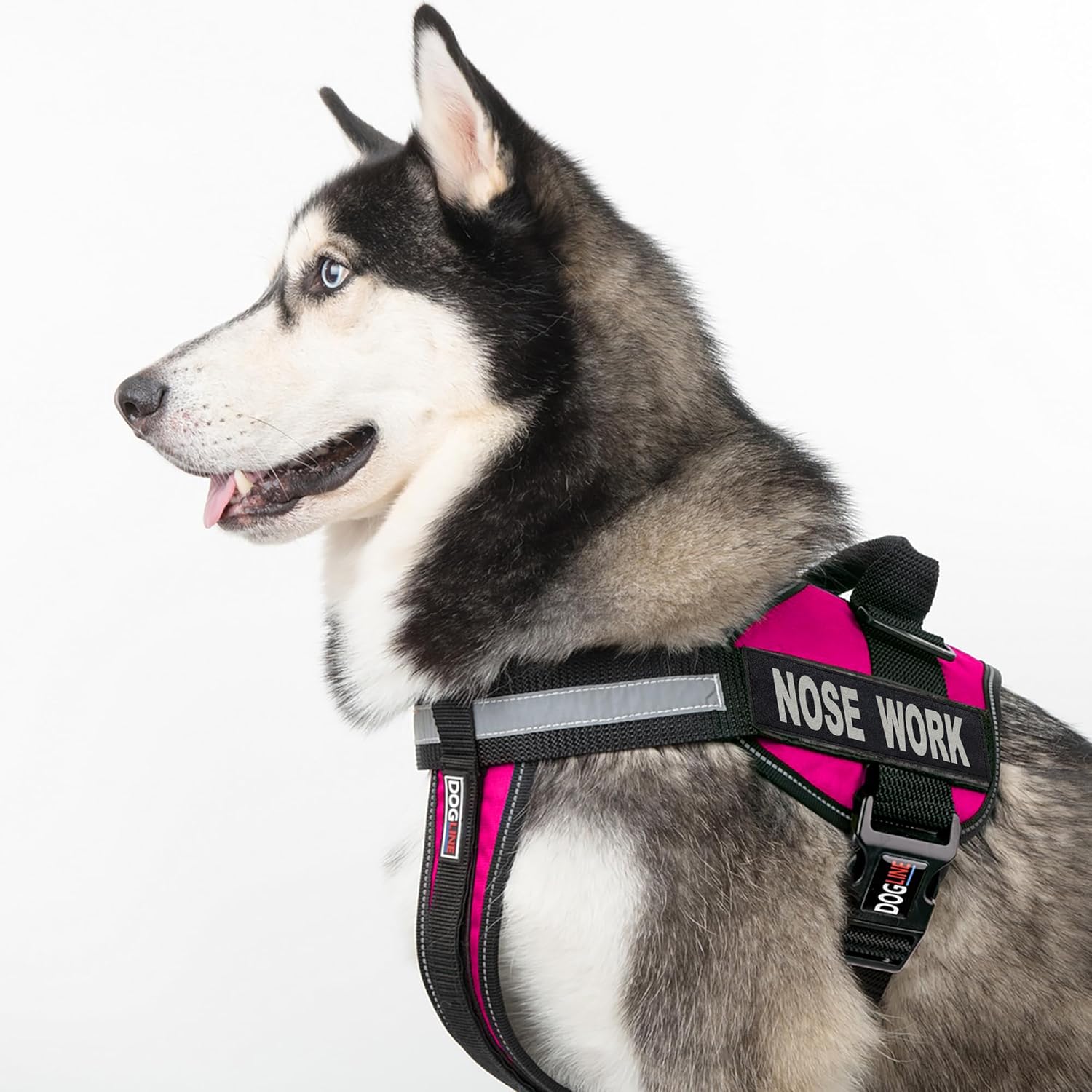 Dogline Vest Harness for Dogs and 2 Removable Nose Work Patches, Small/18 to 25", Pink