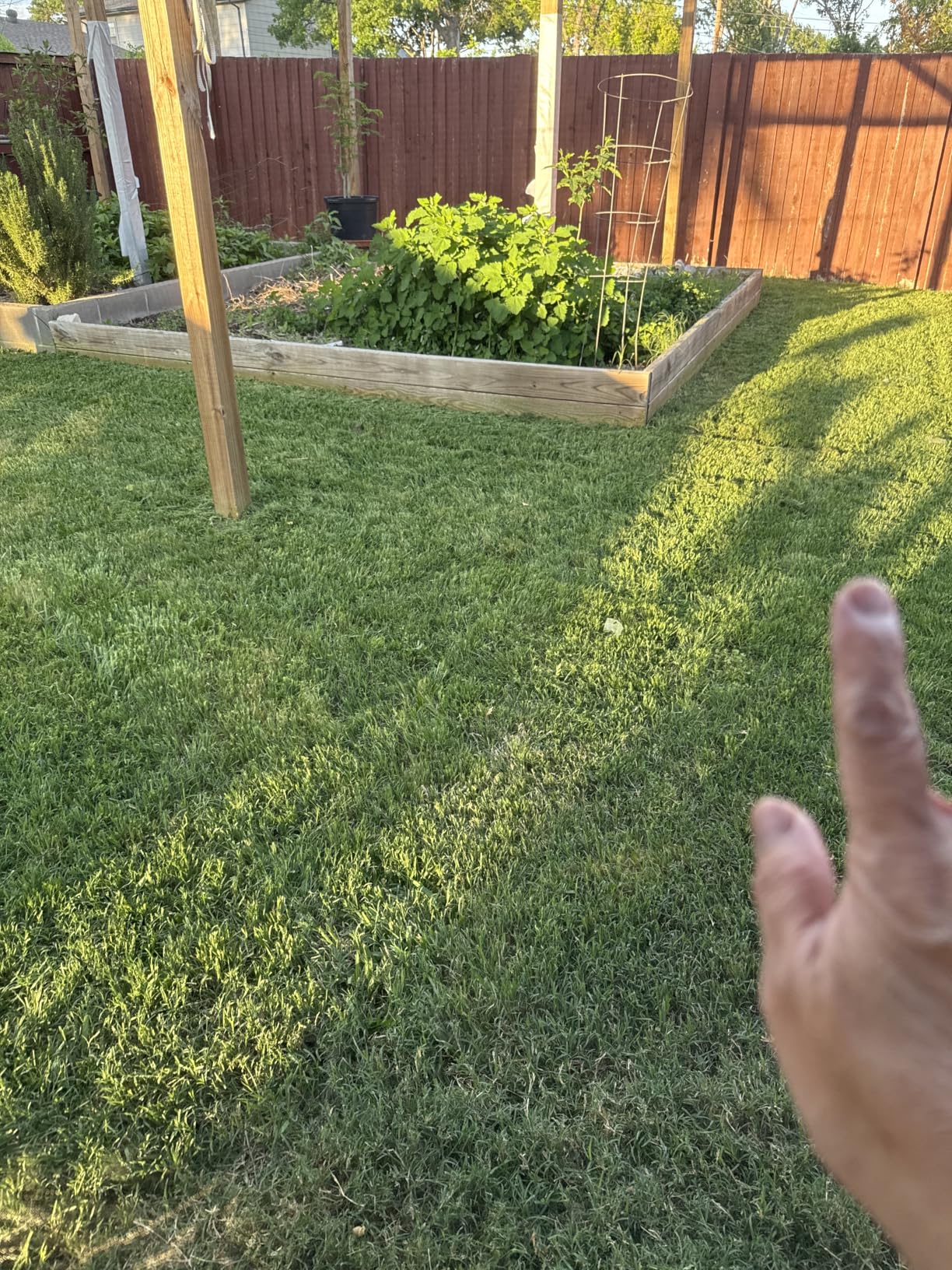 Customer photo