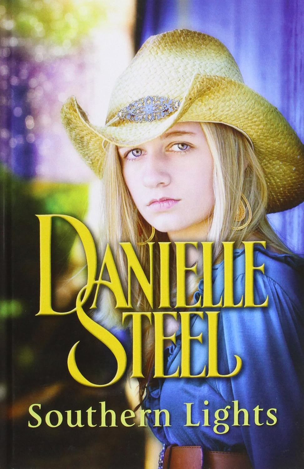 Southern Lights Danielle Steel 9780750536035 Books