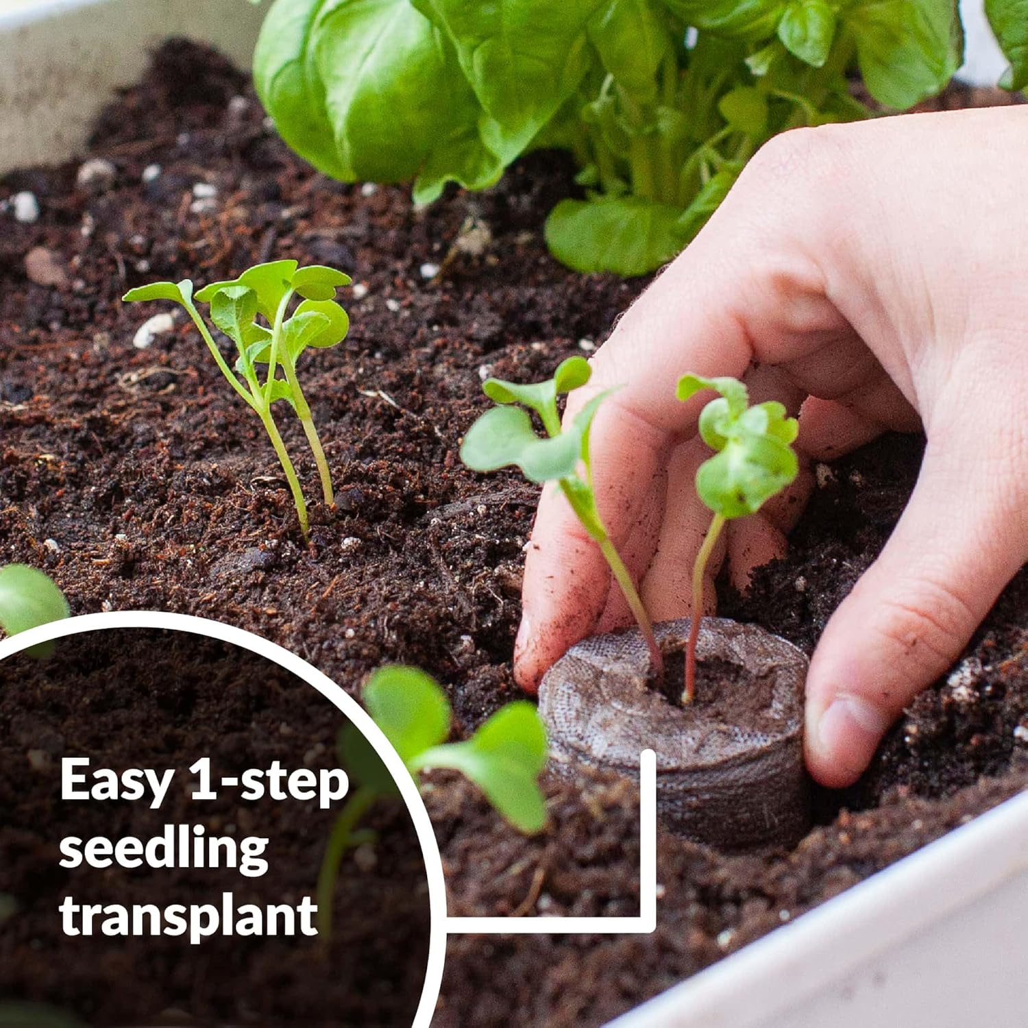 Jiffy Plant Germination Kit - Greenhouse Starter Kit, Lightweight, GMO Free - 72 Cell, 2 Pack - Peat/Plastic