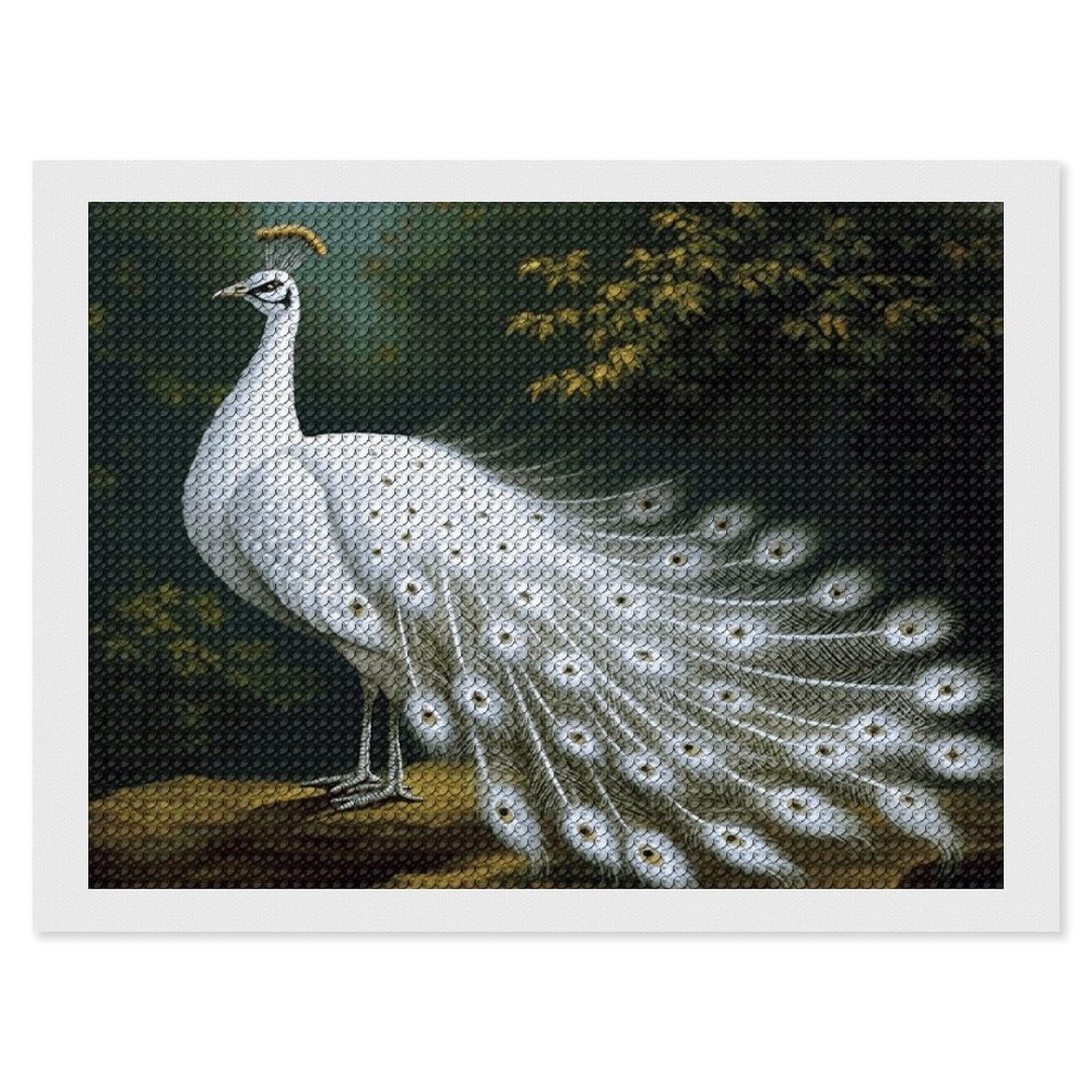 NONHAI Diamond Painting Kits for Adults - DIY Diamond Art Kits for Beginners - Full 5D Paint Drill Diamond Dots Paintings- White Peacock Diamonds Pictures Gem Art and Craft Wall Decor 12"x16"