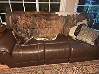 Review Image by Larisa T. Larisa T.