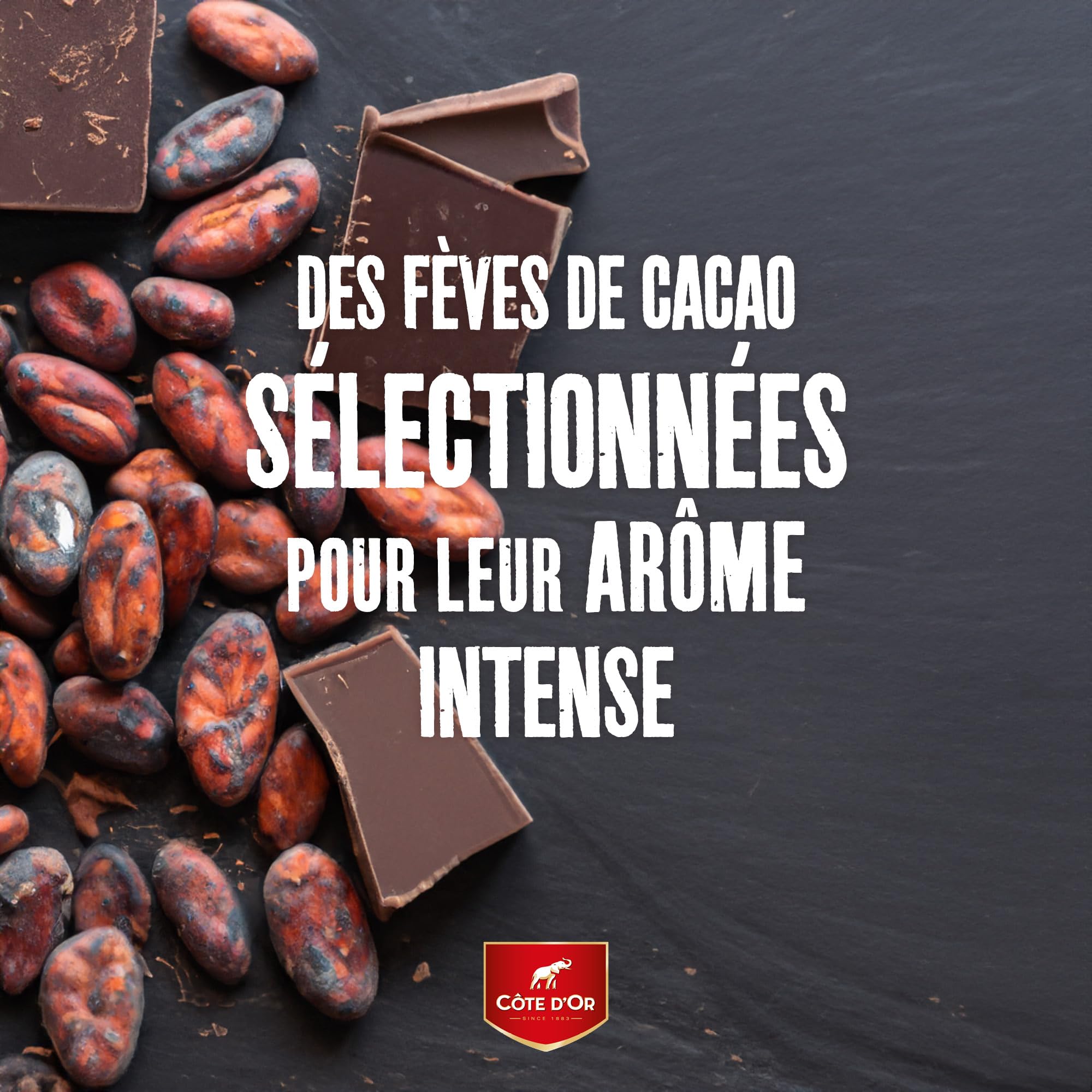 Côte d'Or Mignonnette Noir de Noir - Carton de 120 x 10 g - 1,2 kg
