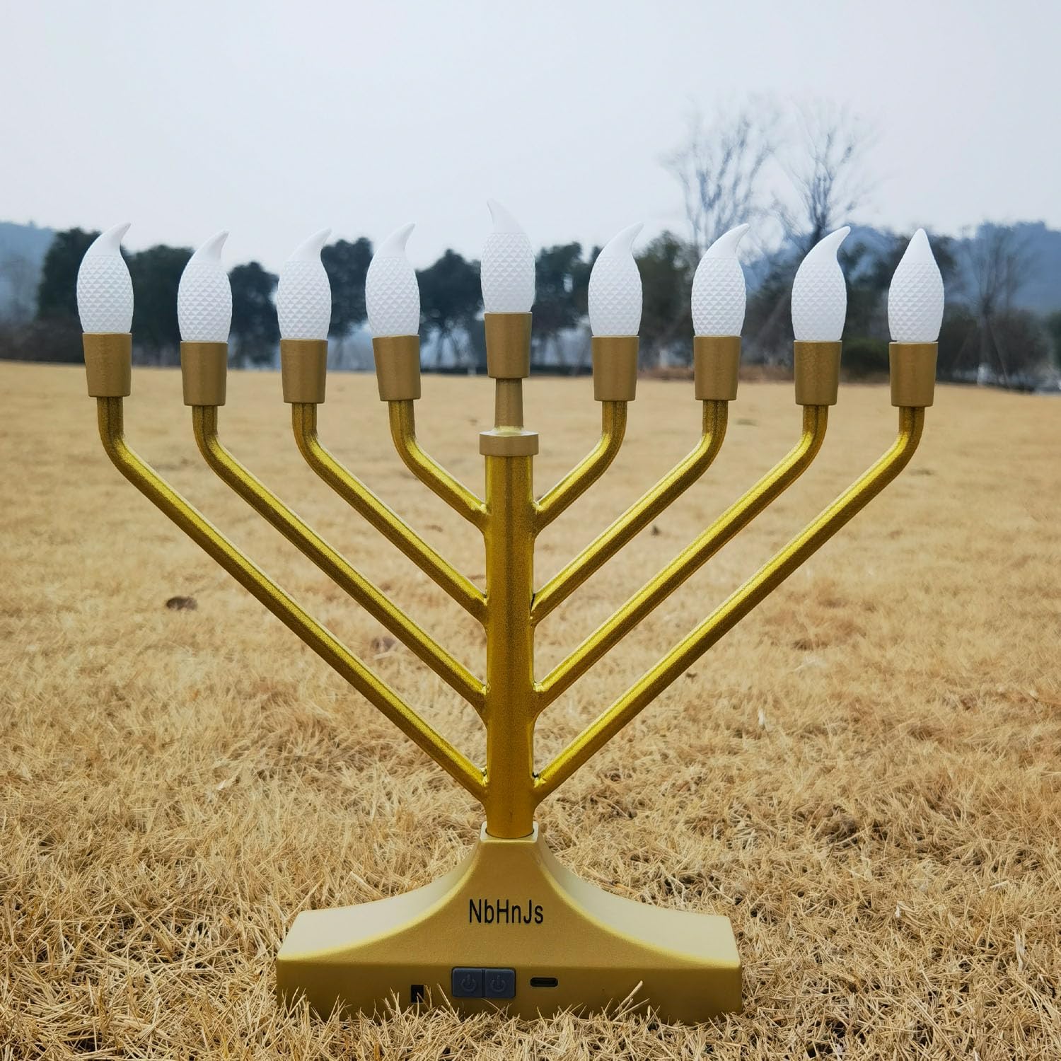 Electric RGB Led Menorah for Chanukah Hanukkah Candles for Menorah Decorations Color Changing with Remote Control & Push-Button to Choose The Day and Timer Options Battery/USB Powered
