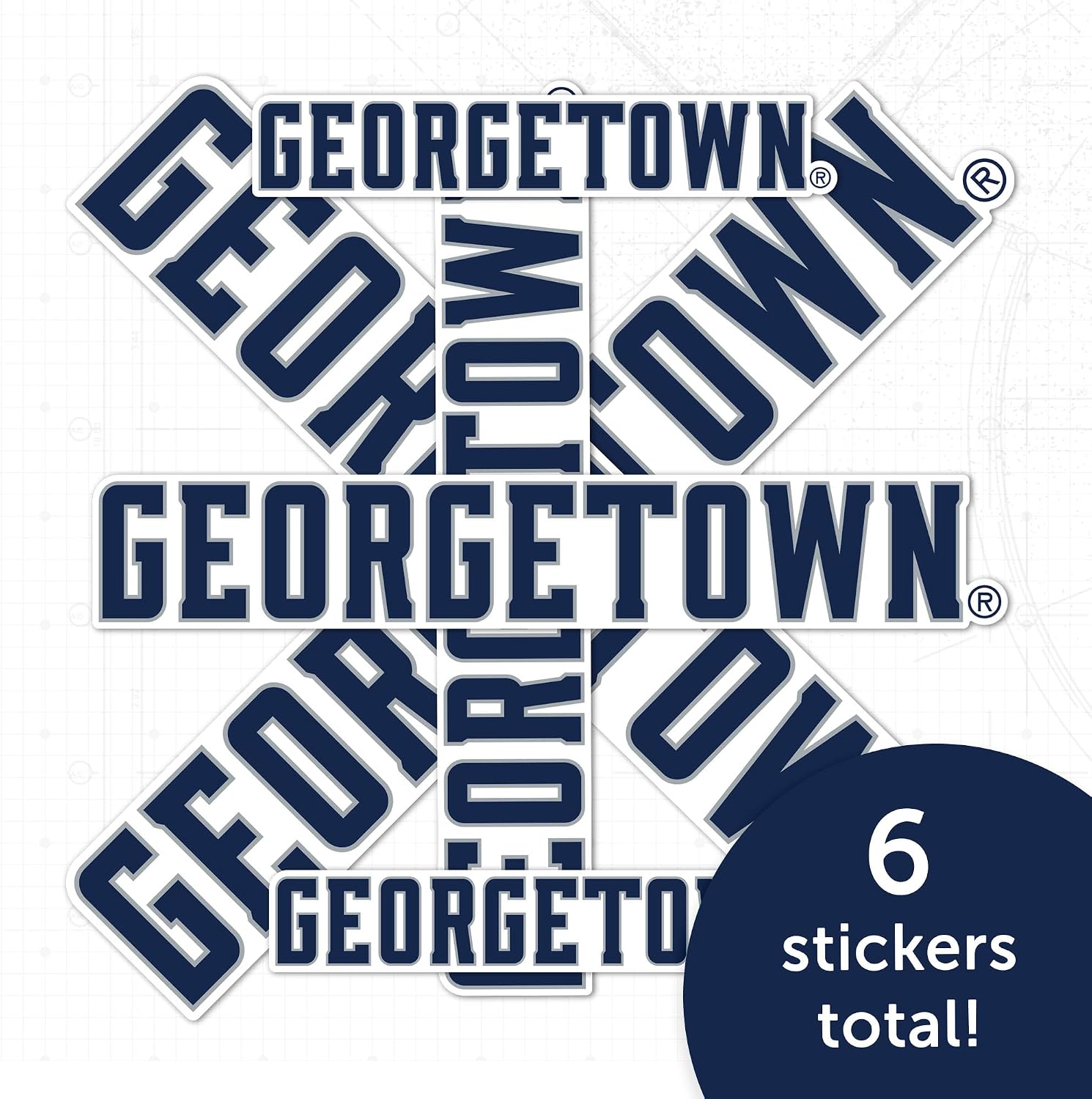 Desert Cactus Georgetown University Sticker Hoyas GU Sticker Hoyas GU Vinyl Decals Laptop Water Bottle Car Scrapbook T3 (Type 3-7)