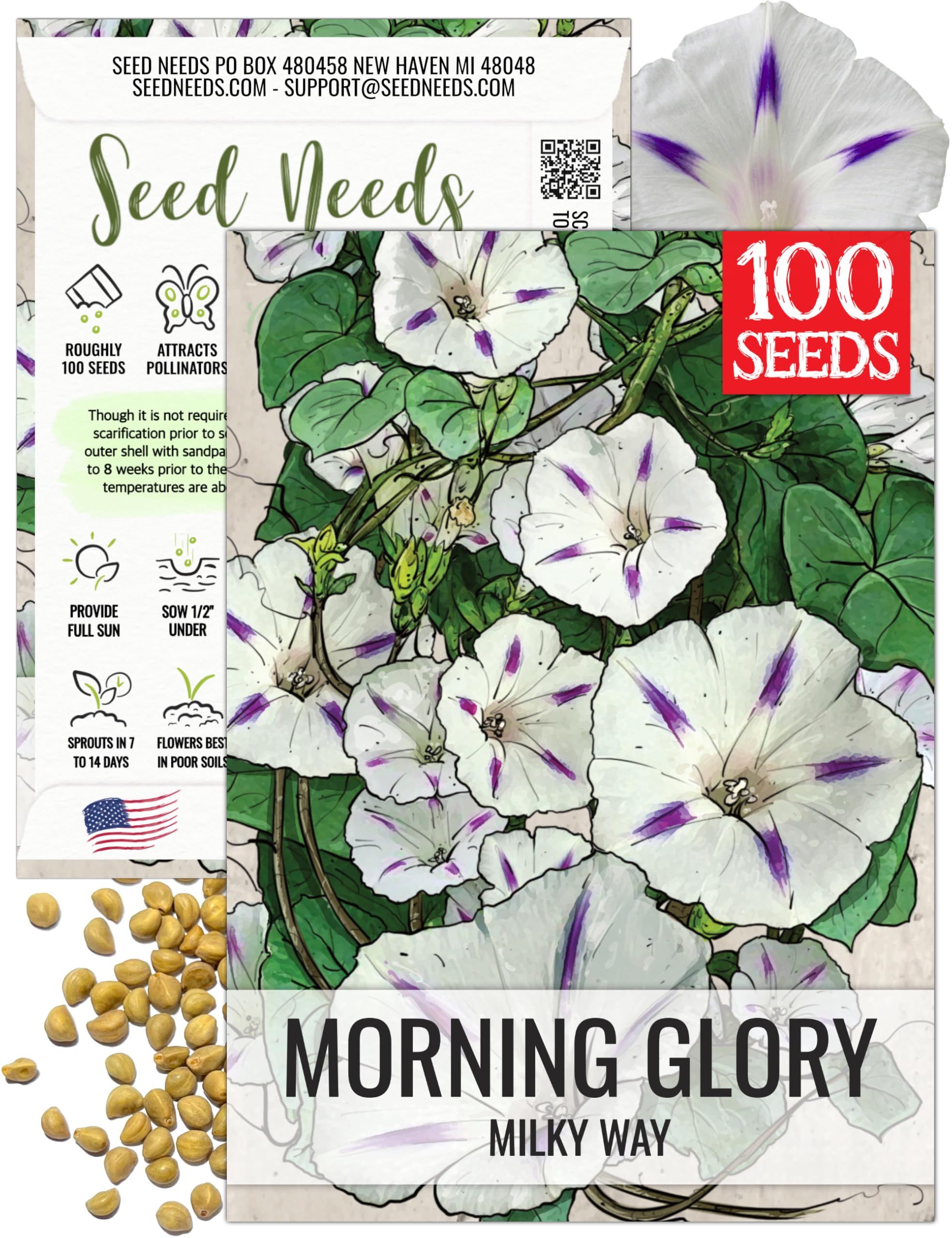 Amazon.com : Seed Needs Milky Way Morning Glory Seeds for Planting