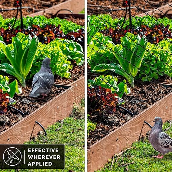 Bird-X Standard Bird Netting, Ideal for Gardens and Lightweight Applications, UV-Stabilized Mesh Netting with 3/4 Hole Opening, Easy to Install, 200' x 14'