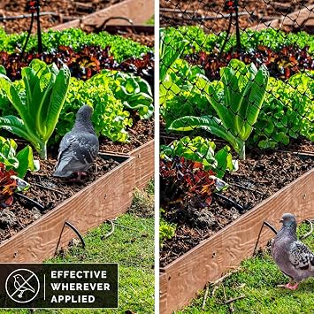Bird-X Standard Bird Netting, Ideal for Gardens and Lightweight Applications, UV-Stabilized Mesh Netting with 3/4 Hole Opening, Easy to Install, 200' x 14'