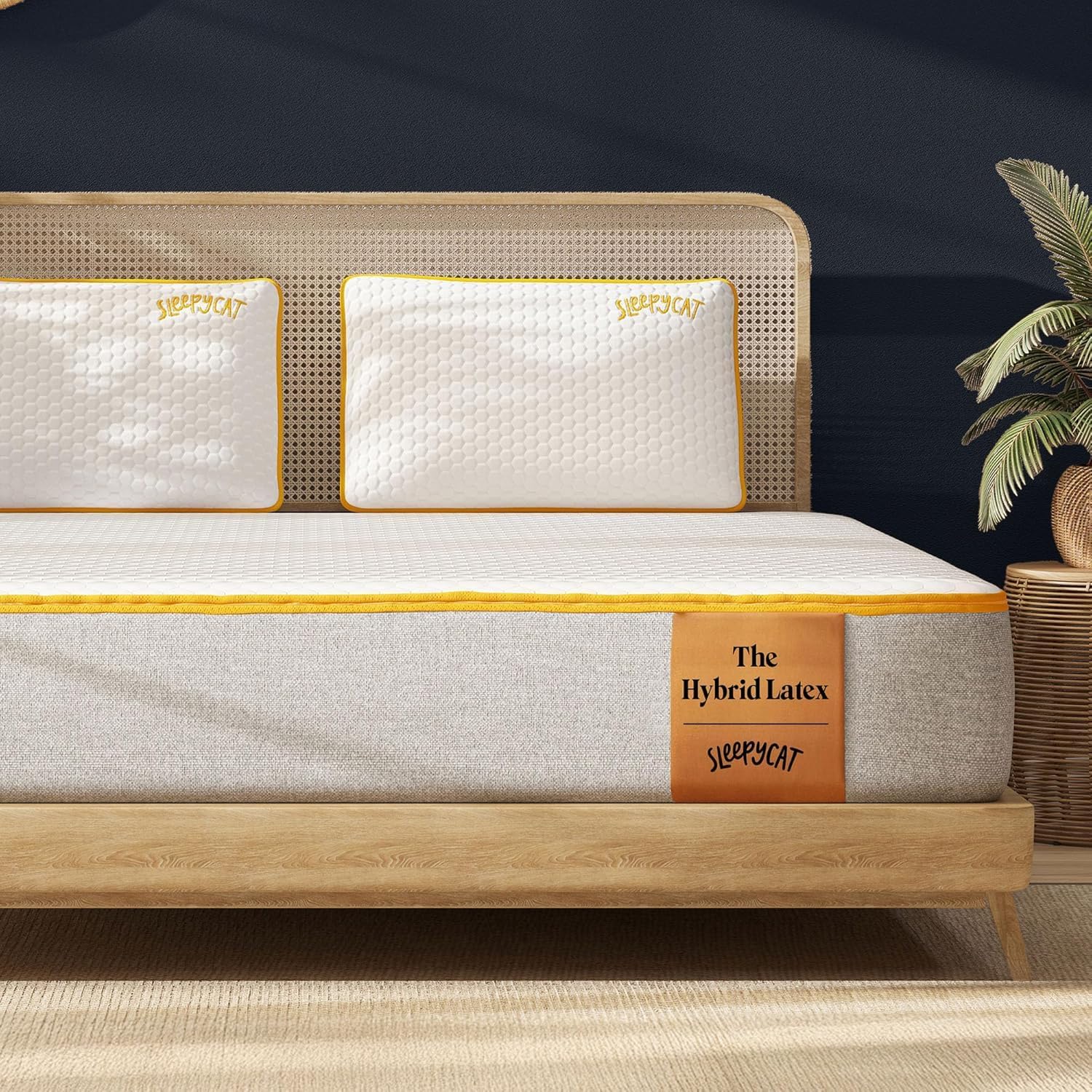 SleepyCat Latex Mattress | 10 Years Warranty | Firm, Orthopedic 8-inch Hybrid Mattress with Pinhole Tech Latex & Memory Foam Layers | 5-Zone Support and Bamboo Cover (Small-72x36x8 Inch)