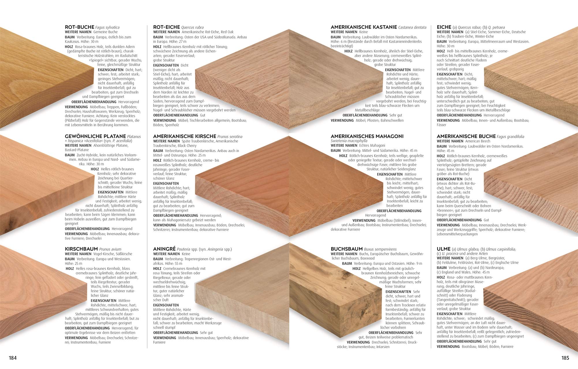 Praxisbuch Holz: Techniken – Werkzeuge – Projekte. Mit über 25 kreativen Ideen aus Holz lassen sich verschiedene Projekte Schritt für Schritt ausführlich erklären