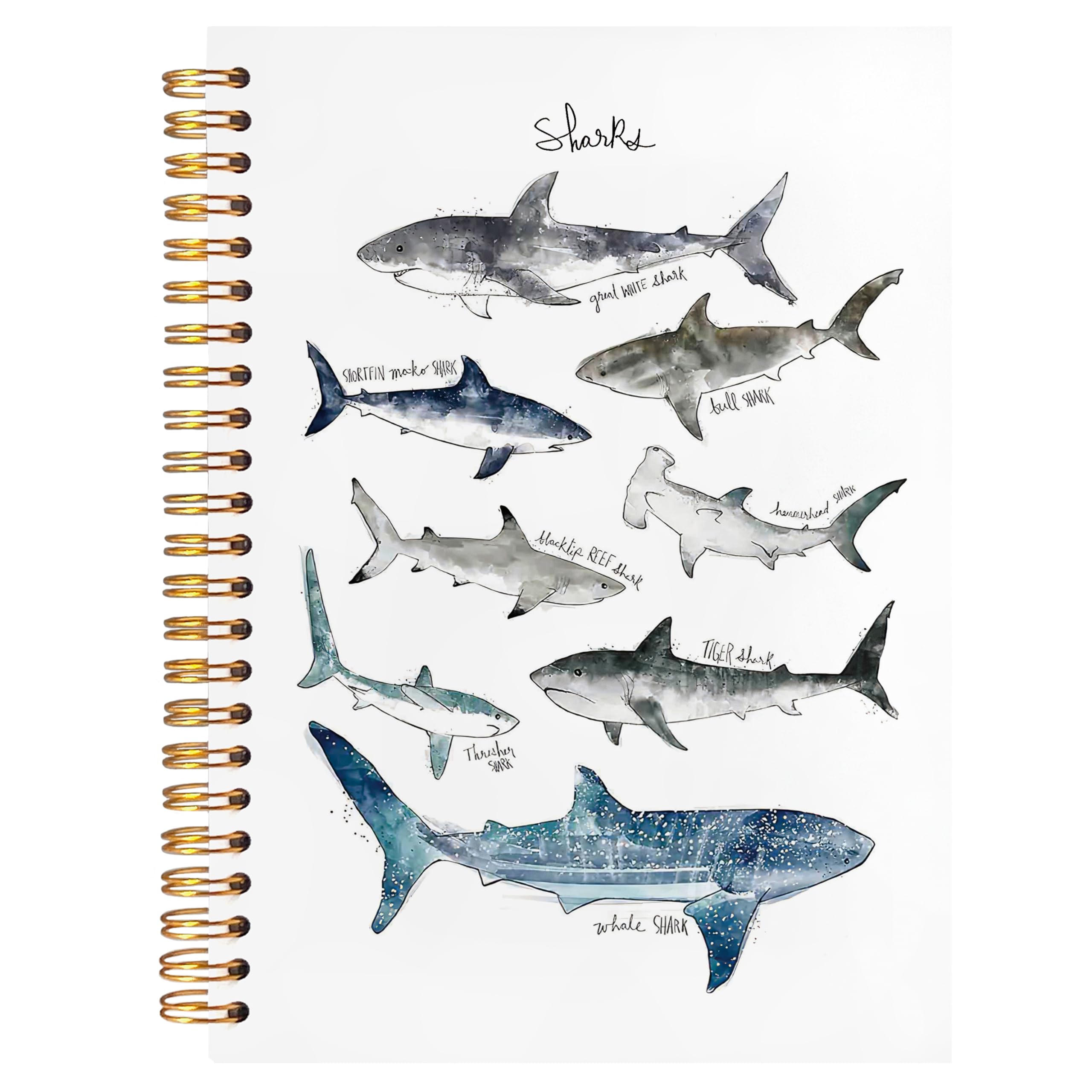 BearCake Diario con squalo oceano, regali di squalo per gli amanti degli squali, accessori da scrivania con squalo, articoli per ufficio squalo, articoli per gli amanti degli squali, quaderno da