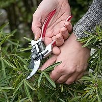 Vista 2 de Spear & Jackson 6160BS/09 Razorsharp - Podadoras de derivación premium, color rojo